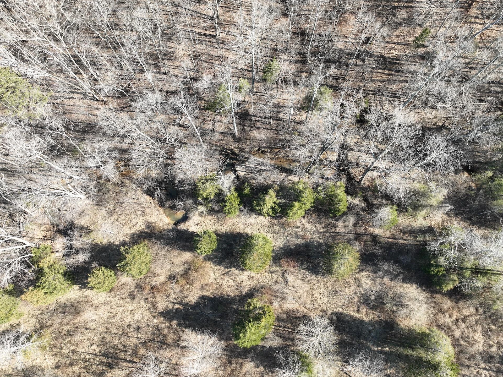 0 White House RD - Photo 36
