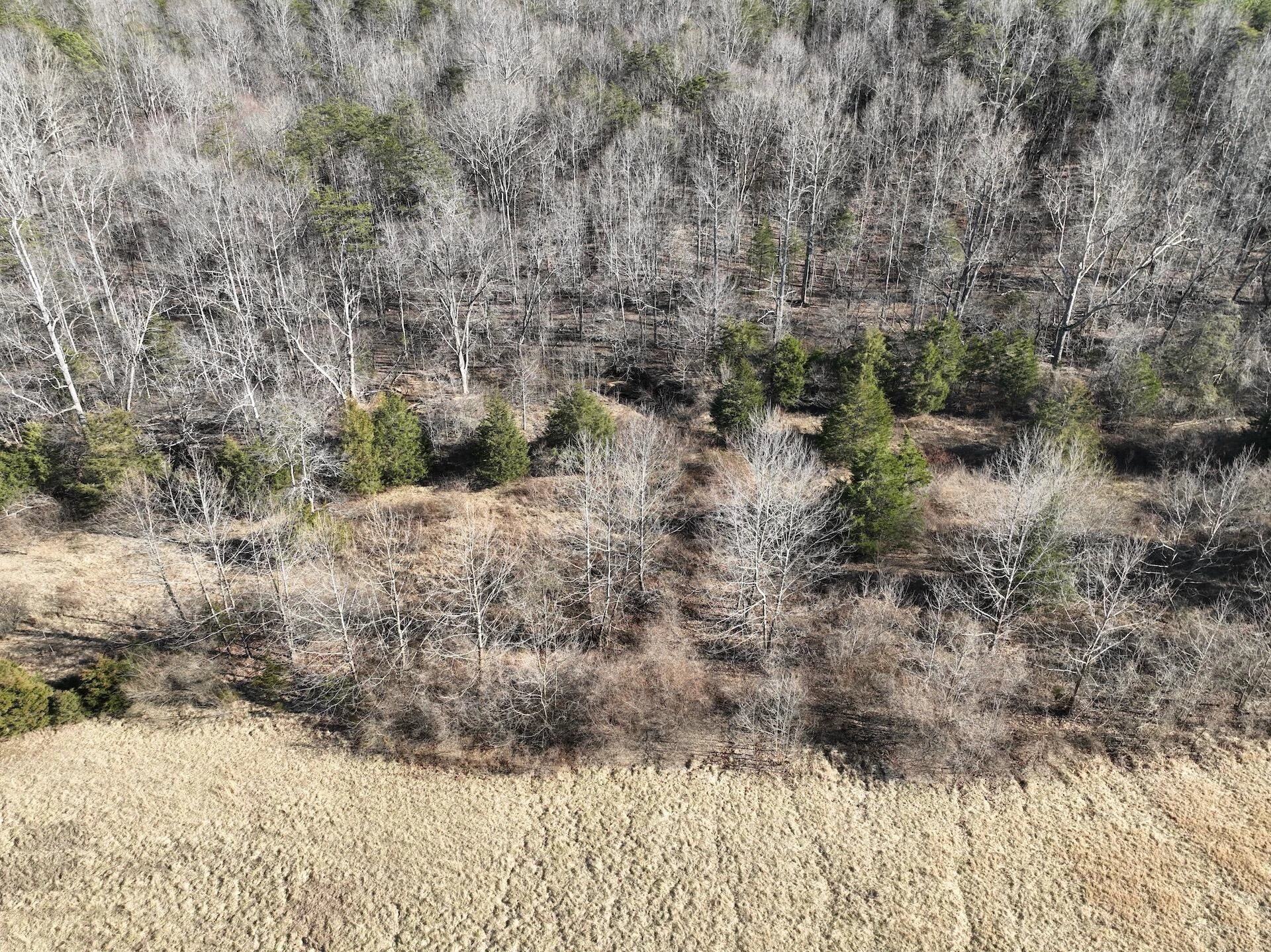 0 White House RD - Photo 37