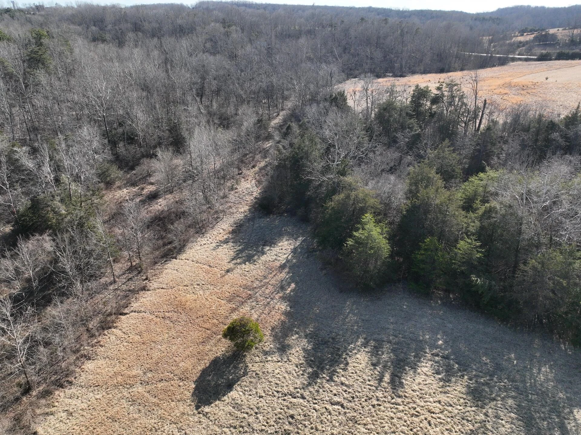 0 White House RD - Photo 38