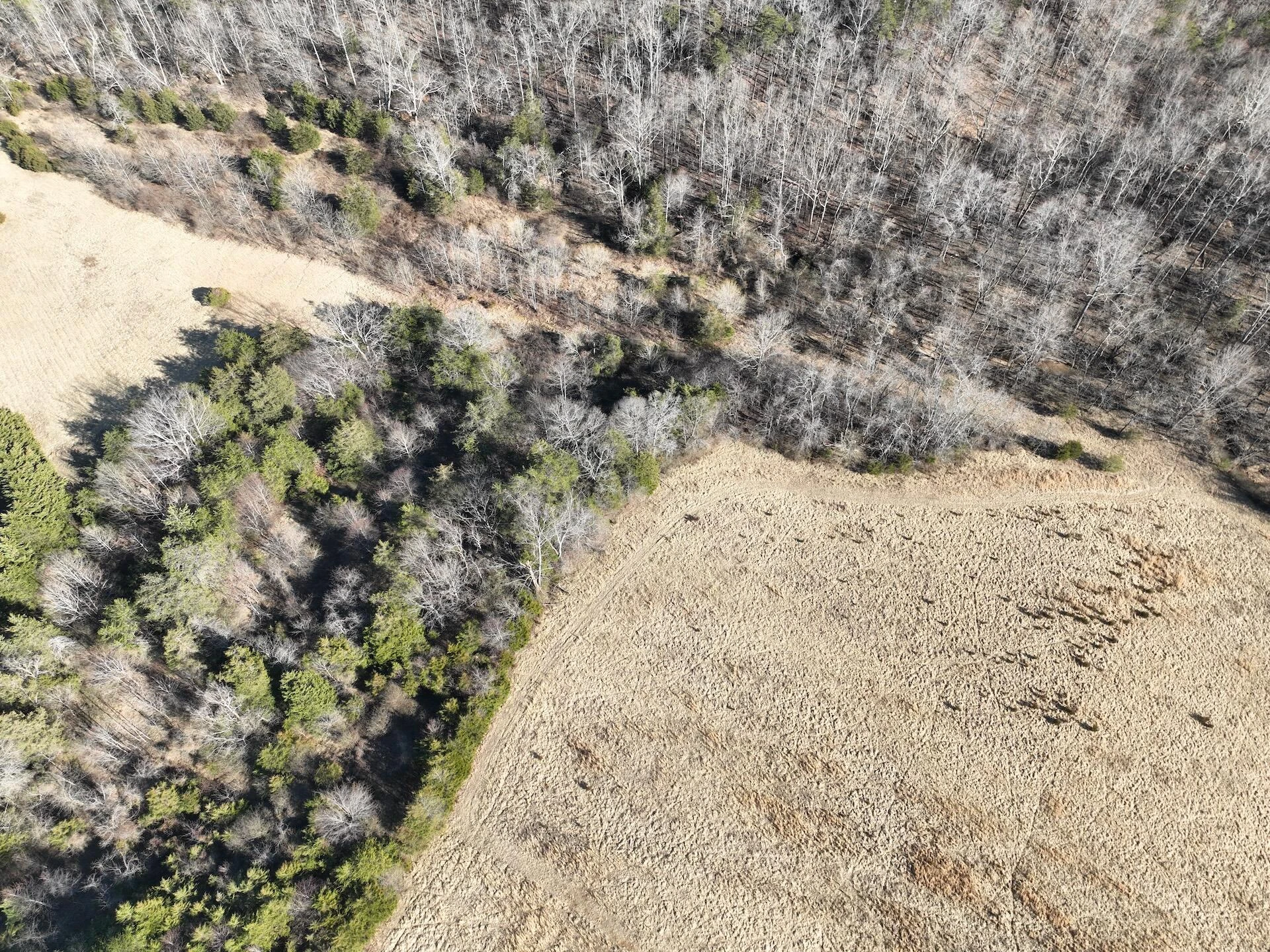 0 White House RD - Photo 4