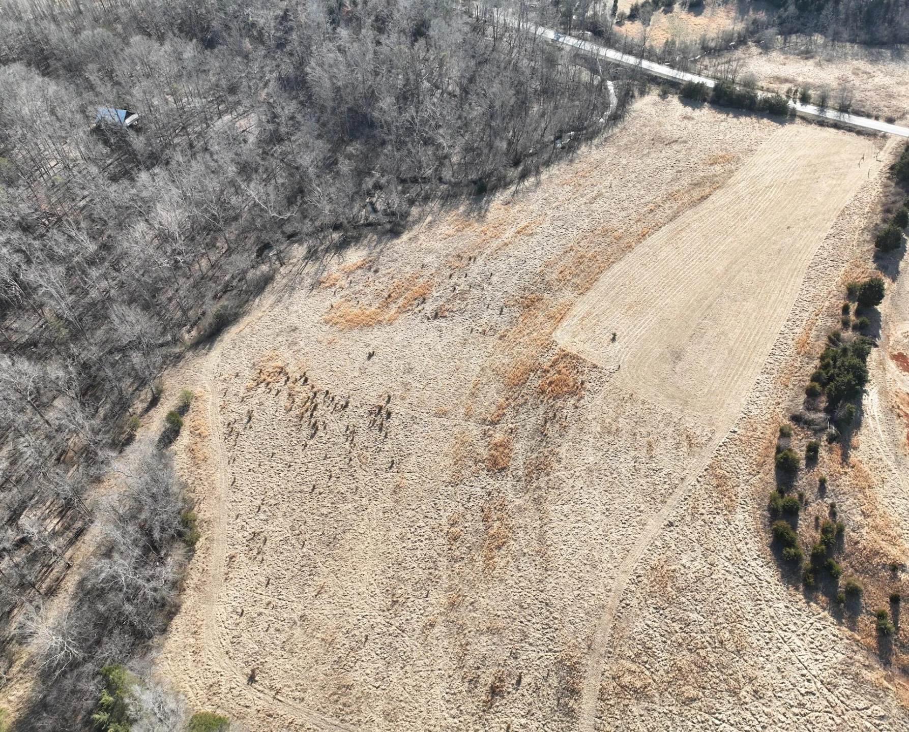 0 White House RD - Photo 45