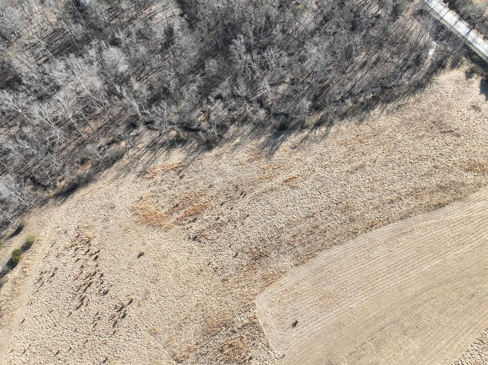 0 White House RD - Photo 46