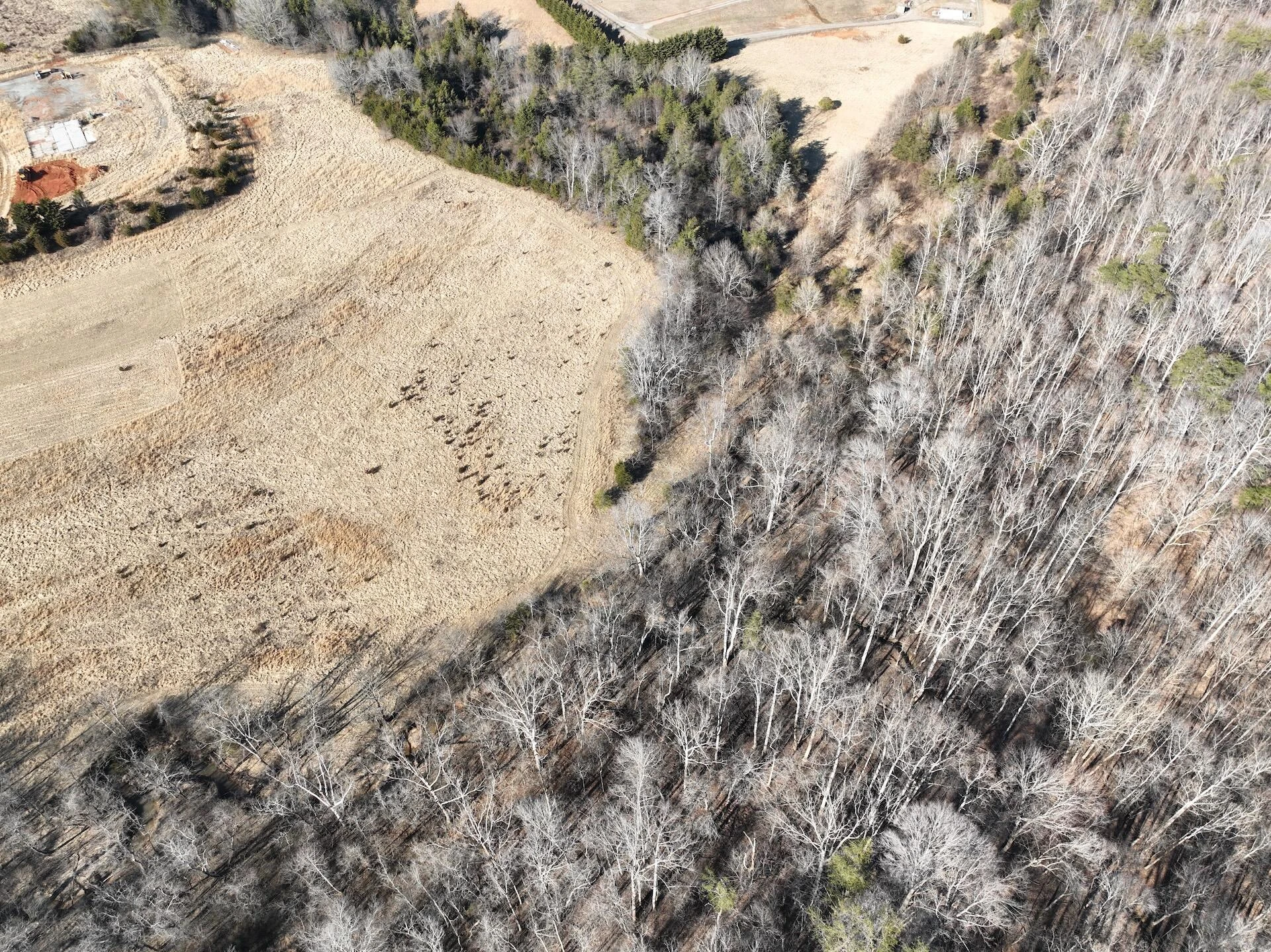 0 White House RD - Photo 47