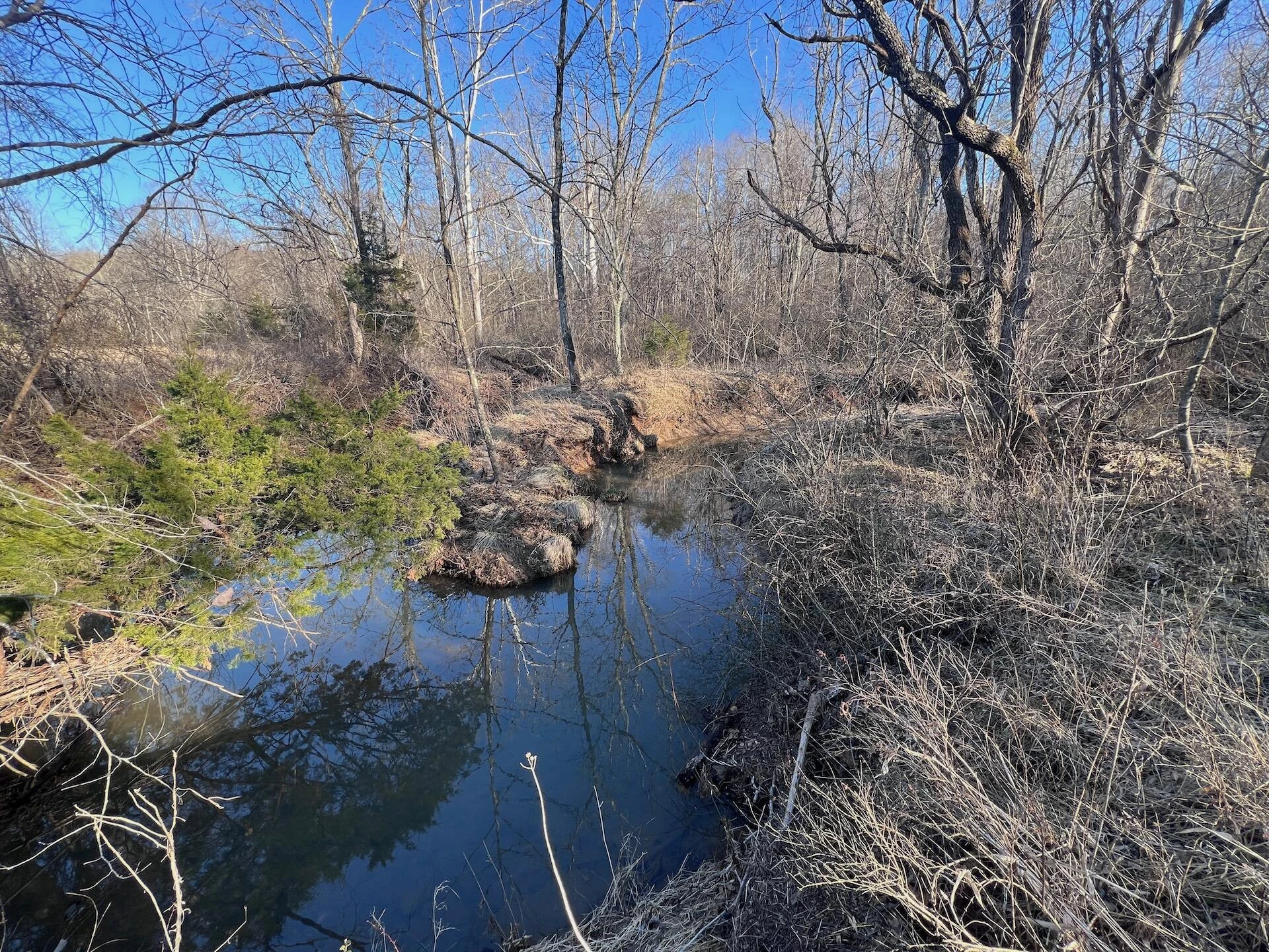 0 White House RD - Photo 5