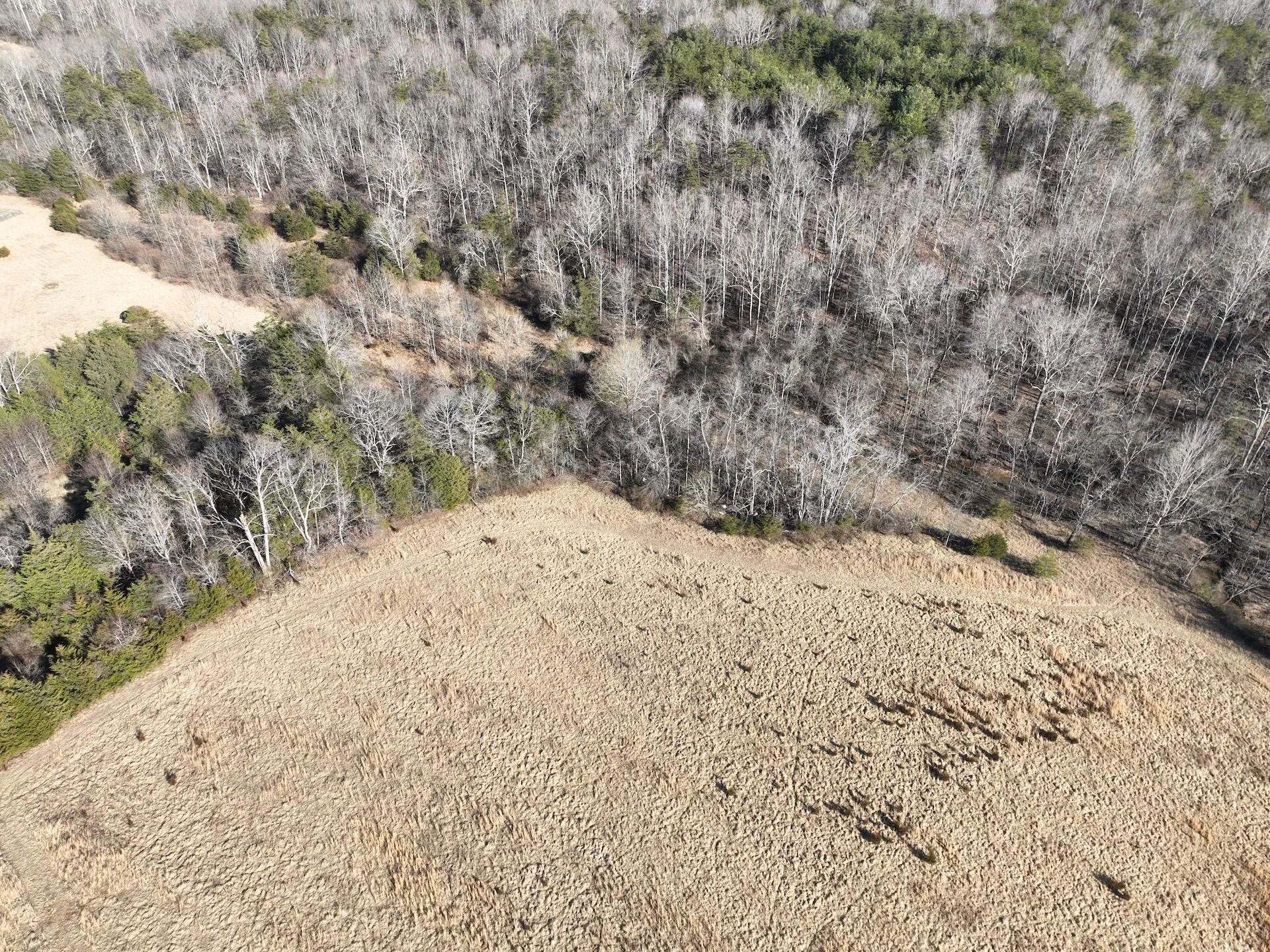 0 White House RD - Photo 55