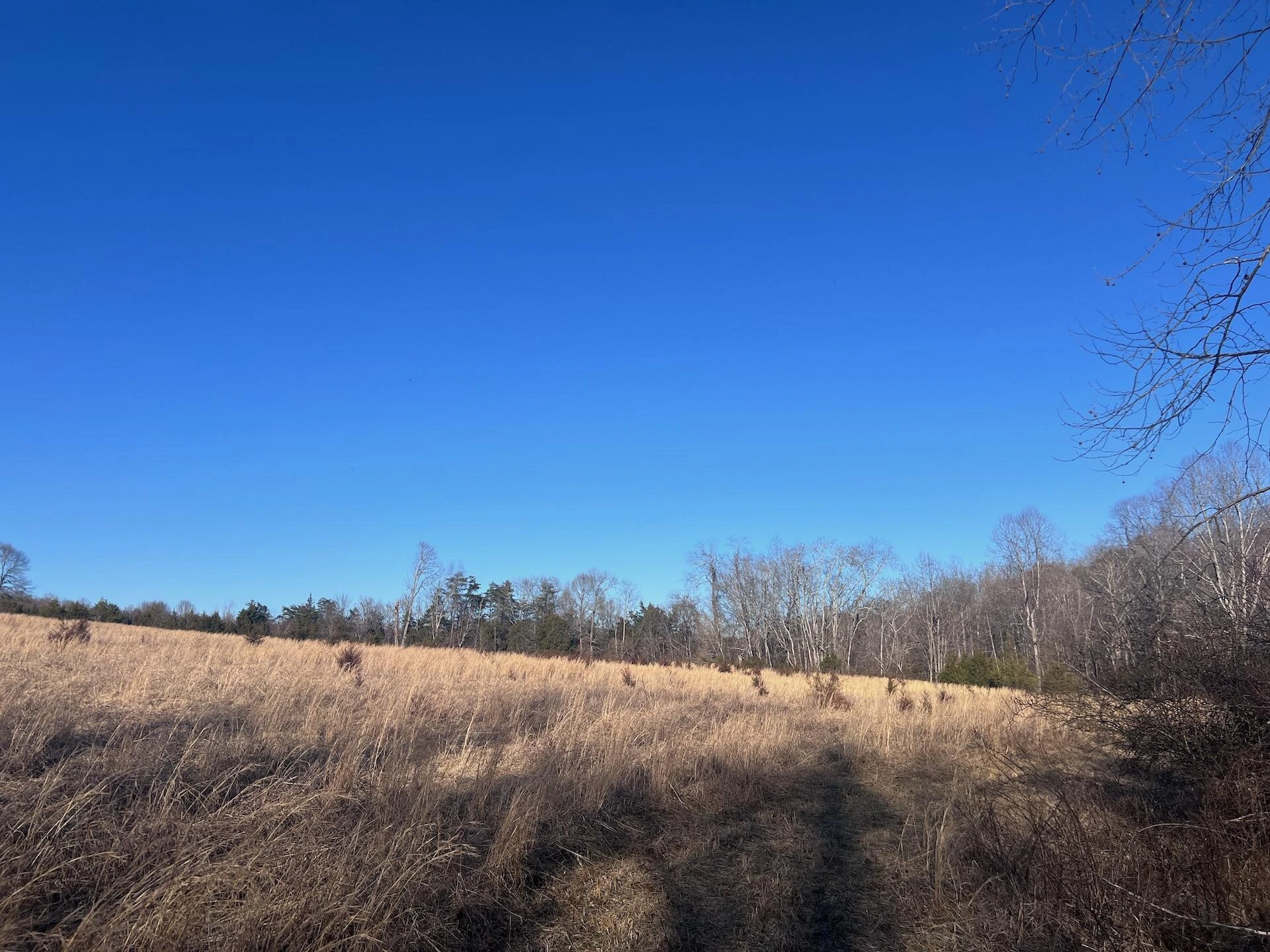0 White House RD - Photo 7