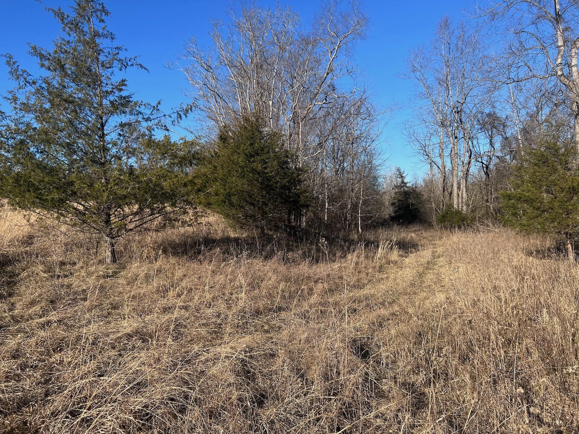0 White House RD - Photo 9