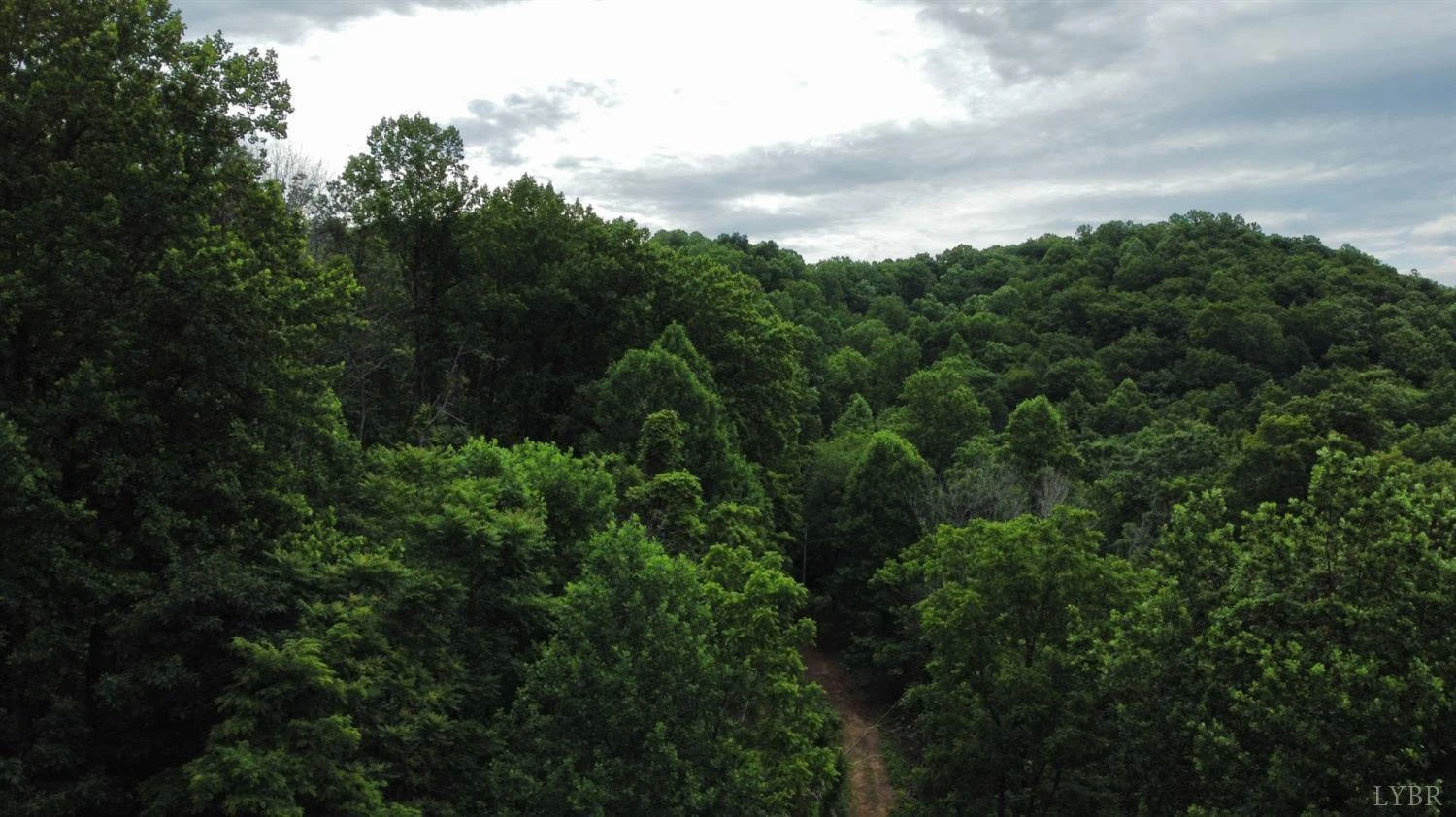 2835 Cool Springs RD - Photo 14