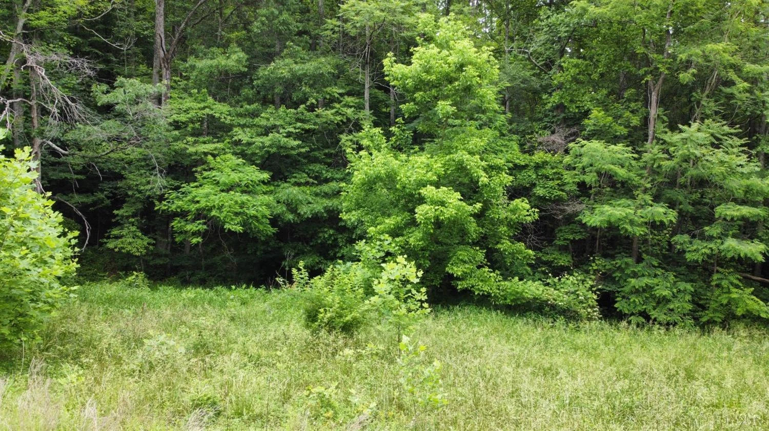 2835 Cool Springs RD - Photo 15