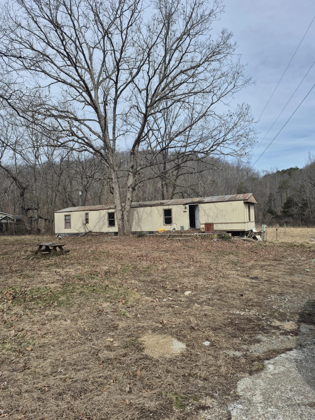 1075 Lithia RD - Photo 5