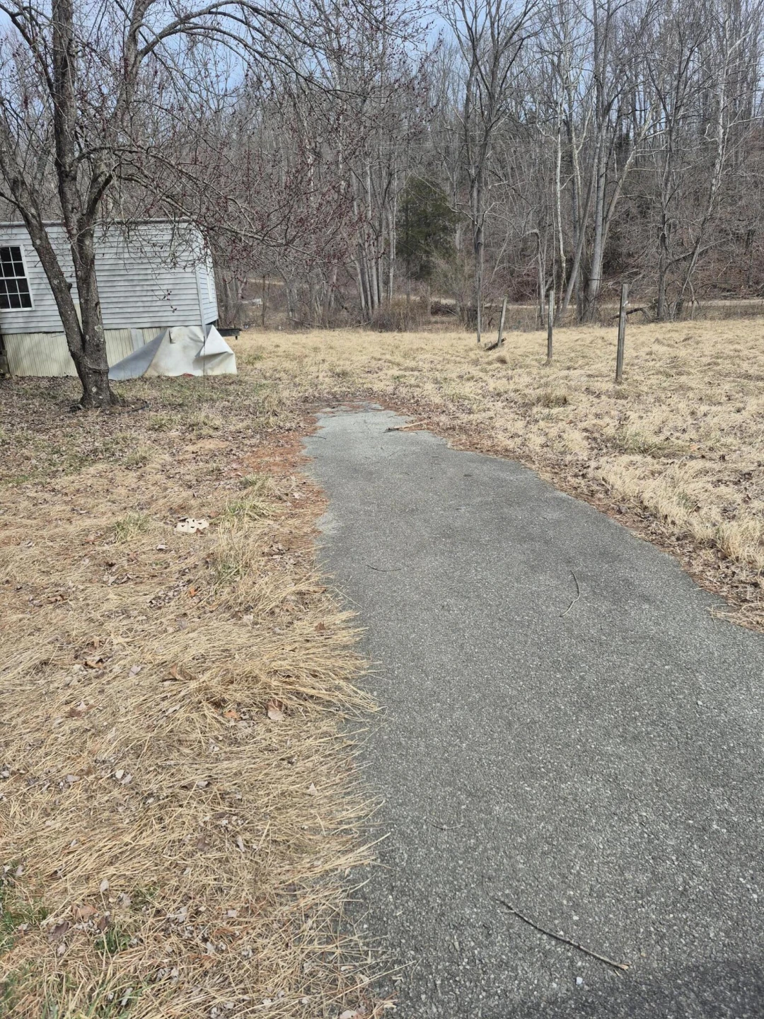 1105 Lithia RD - Photo 3