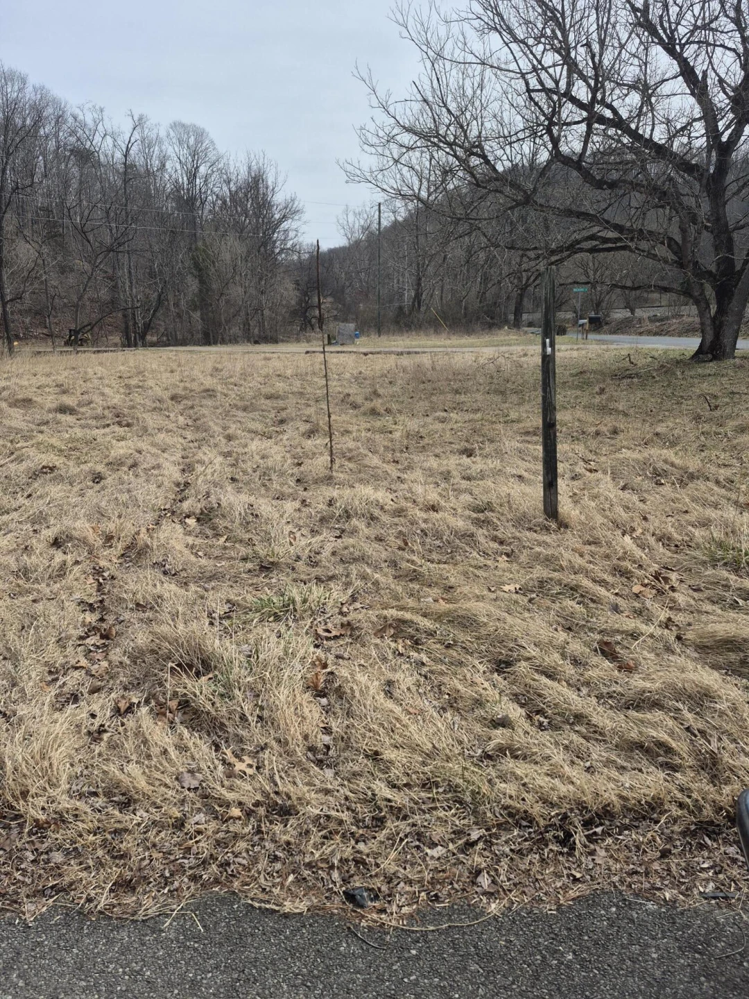1105 Lithia RD - Photo 4