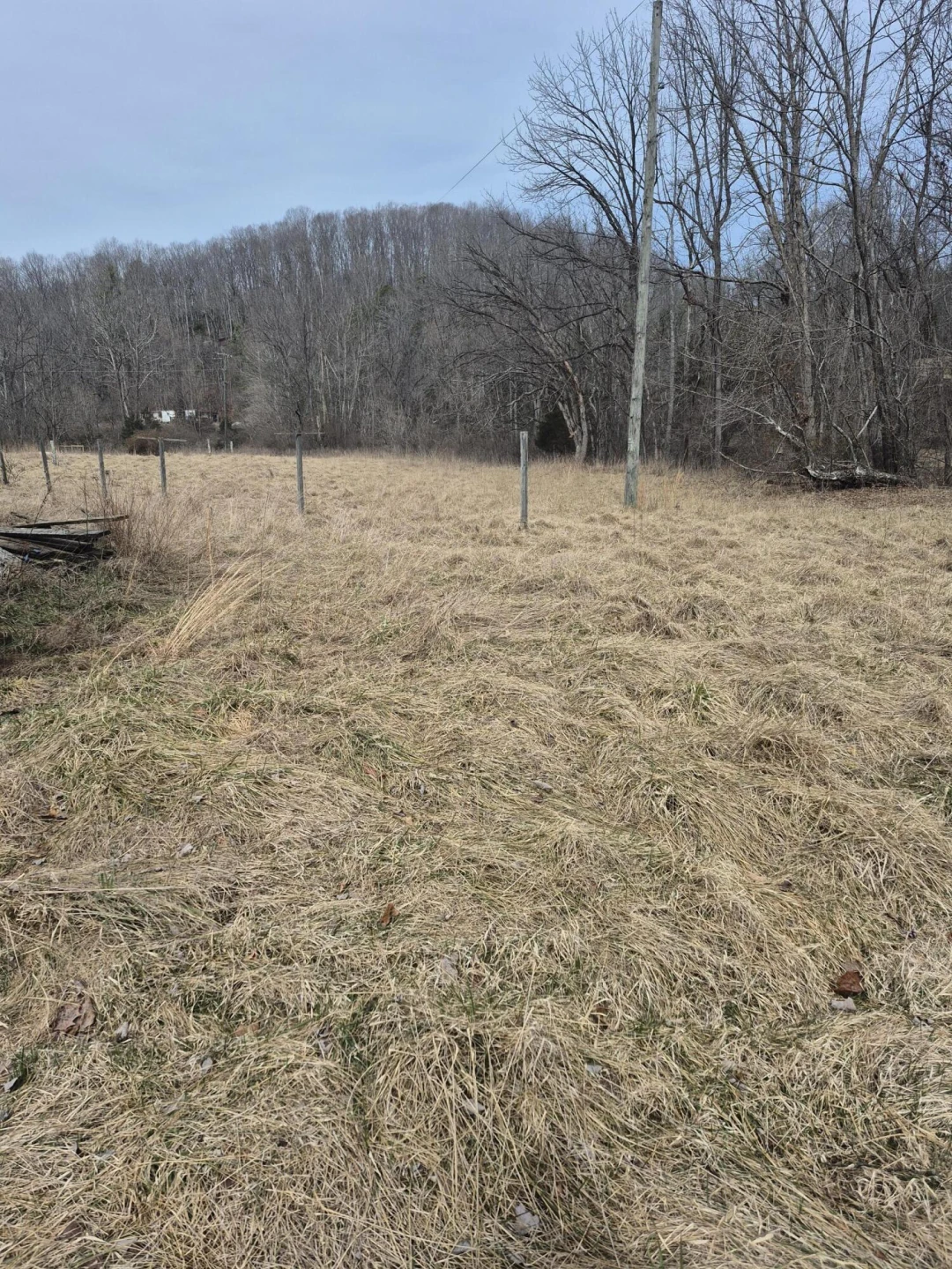 1105 Lithia RD - Photo 5
