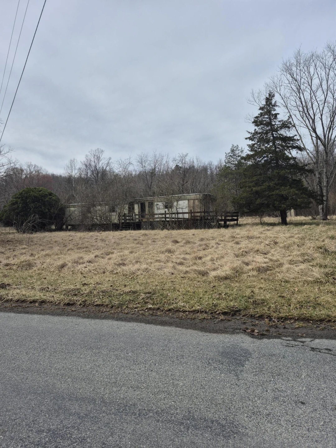 1105 Lithia RD - Photo 9
