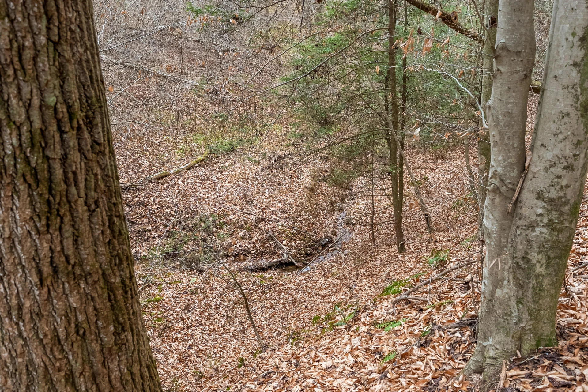 391 Airport RD NW - Photo 36