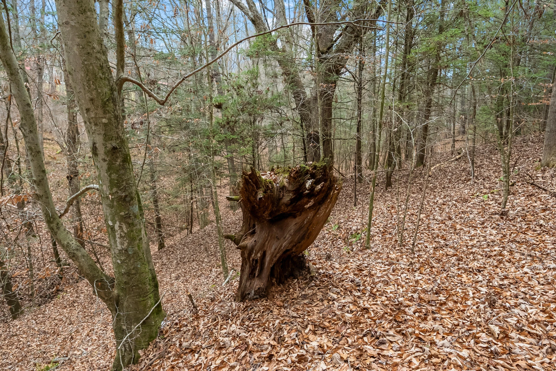 391 Airport RD NW - Photo 37