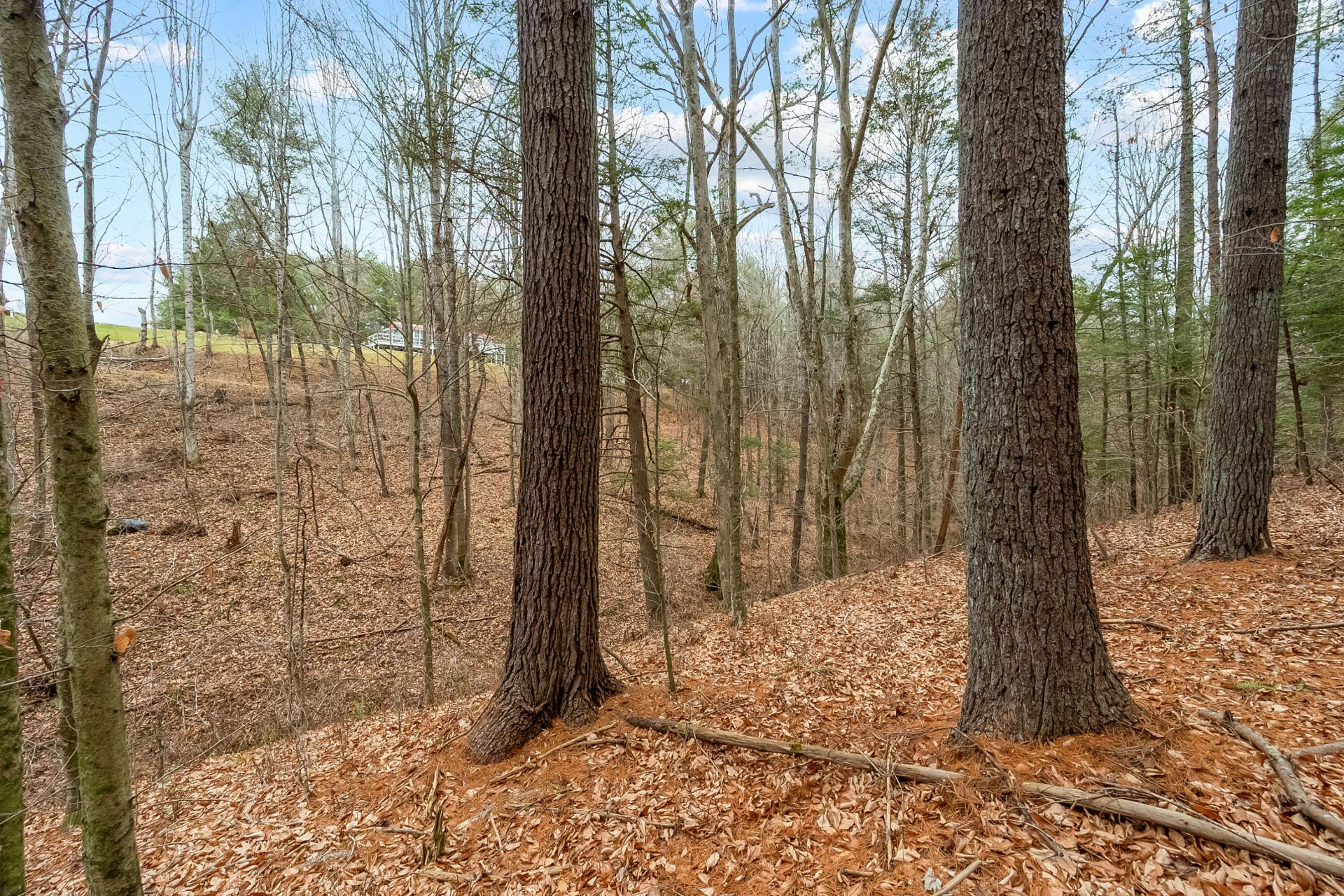 391 Airport RD NW - Photo 39