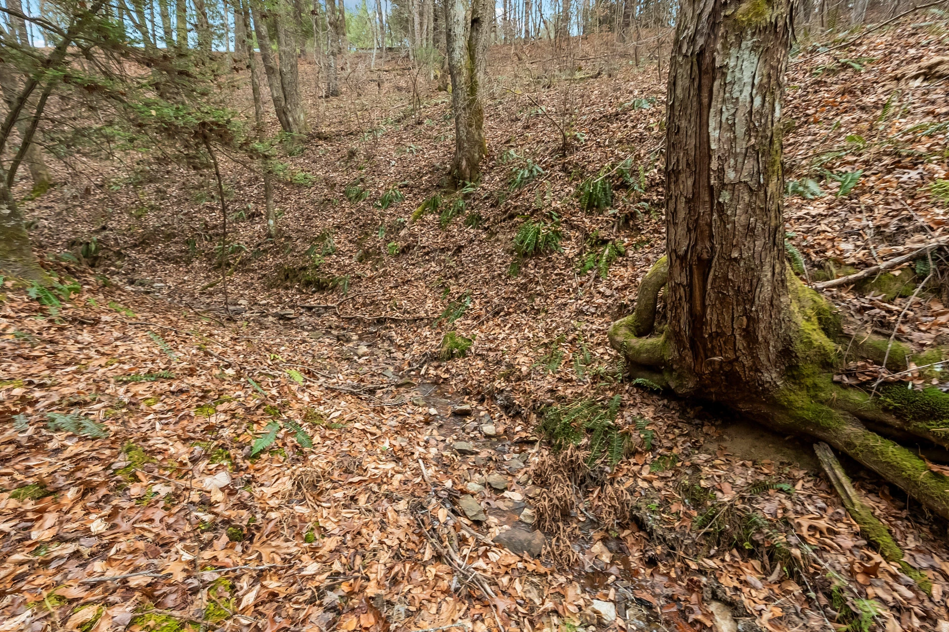 391 Airport RD NW - Photo 40