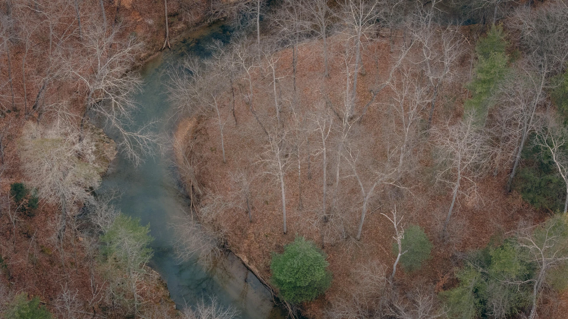 1535 Scuffling Hill RD - Photo 10