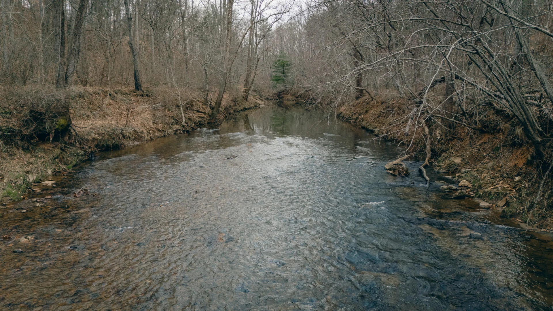 1535 Scuffling Hill RD - Photo 12