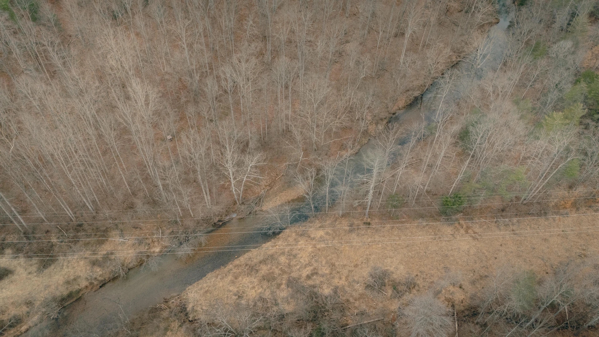 1535 Scuffling Hill RD - Photo 14