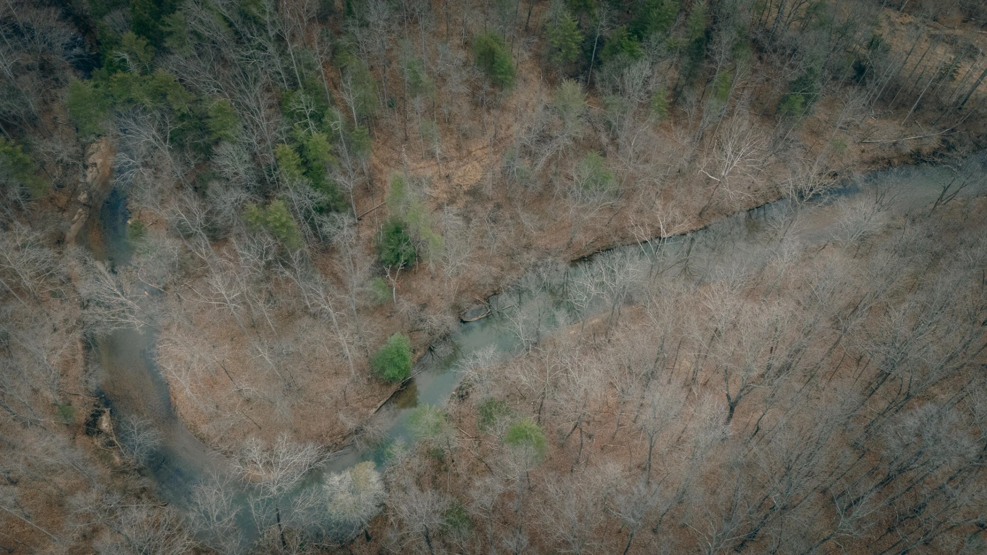 1535 Scuffling Hill RD - Photo 15