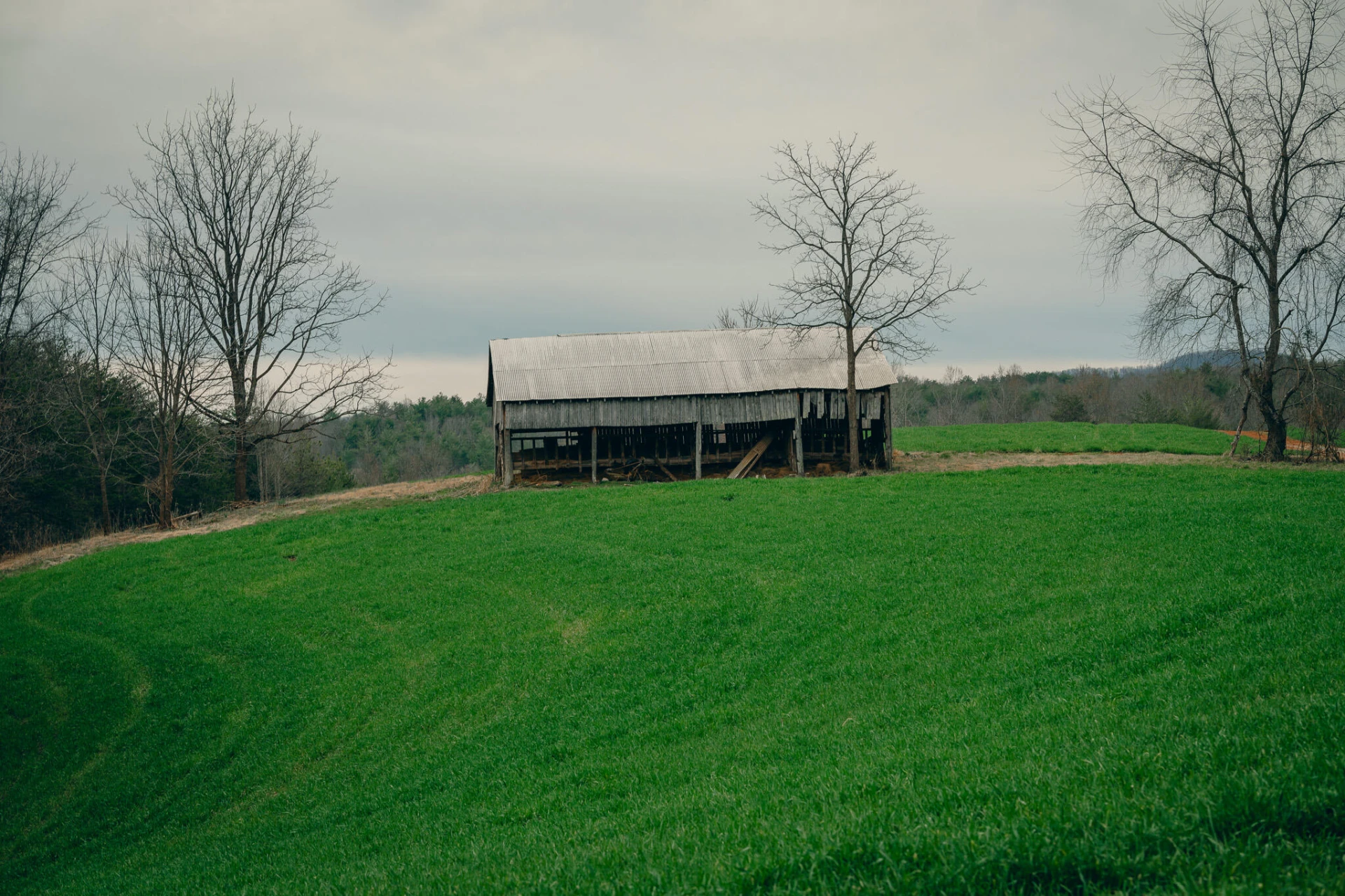 1535 Scuffling Hill RD - Photo 16
