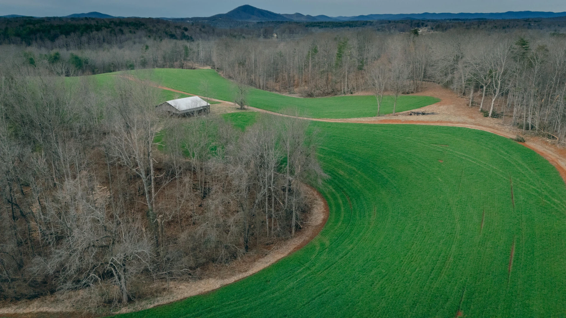 1535 Scuffling Hill RD - Photo 3
