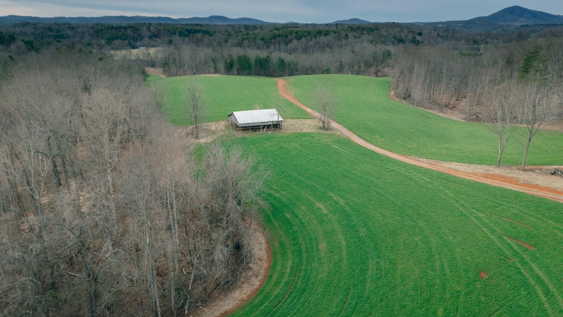 1535 Scuffling Hill RD - Photo 4