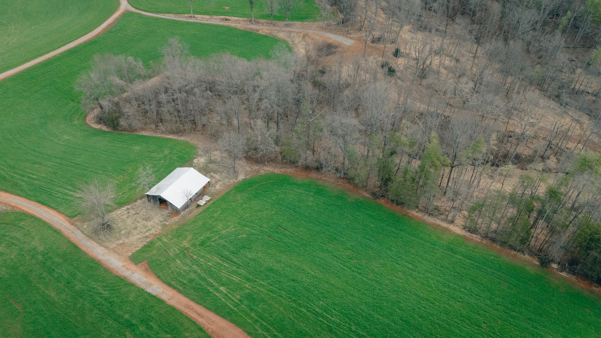 1535 Scuffling Hill RD - Photo 6