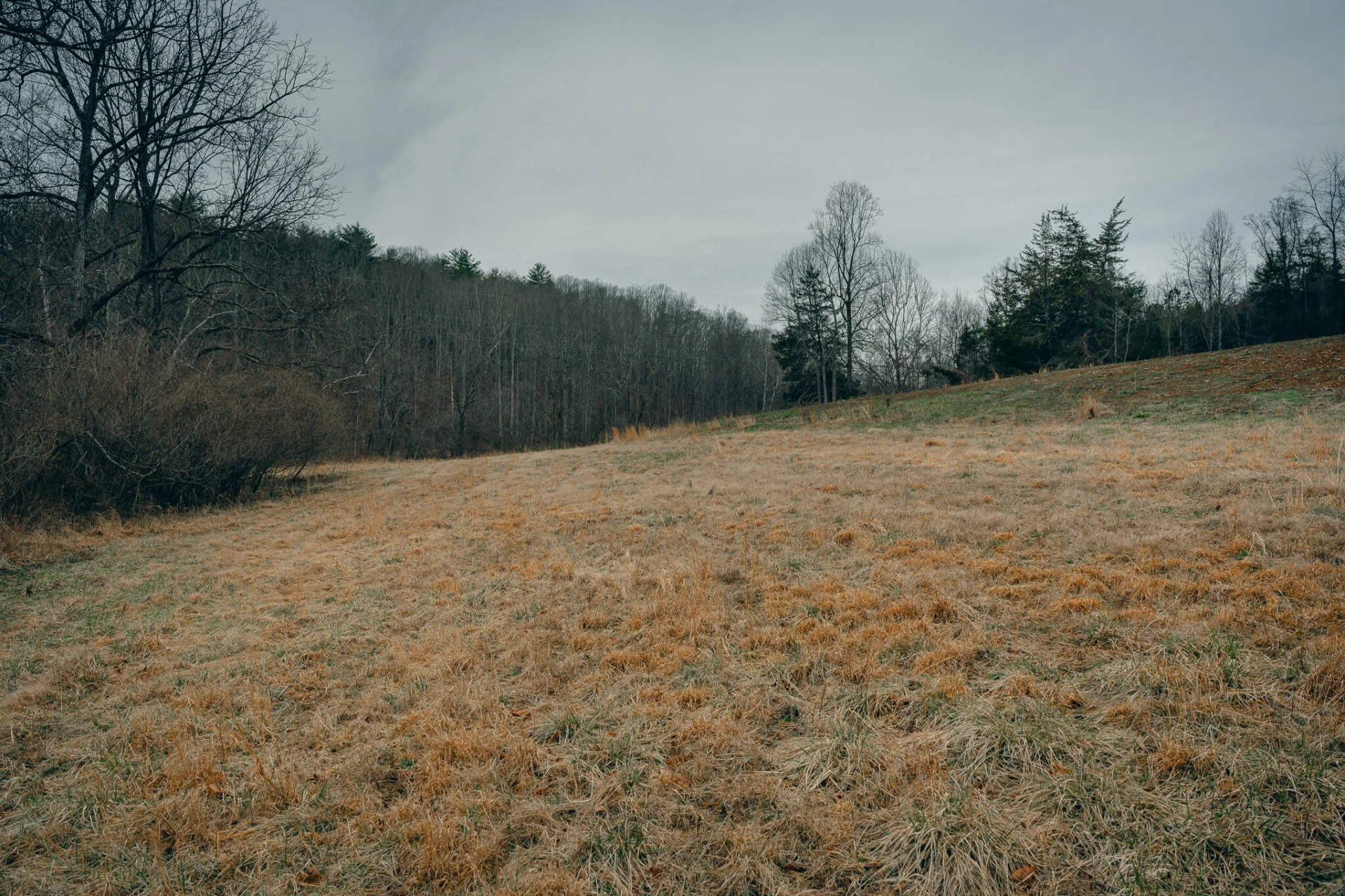1535 Scuffling Hill RD - Photo 8