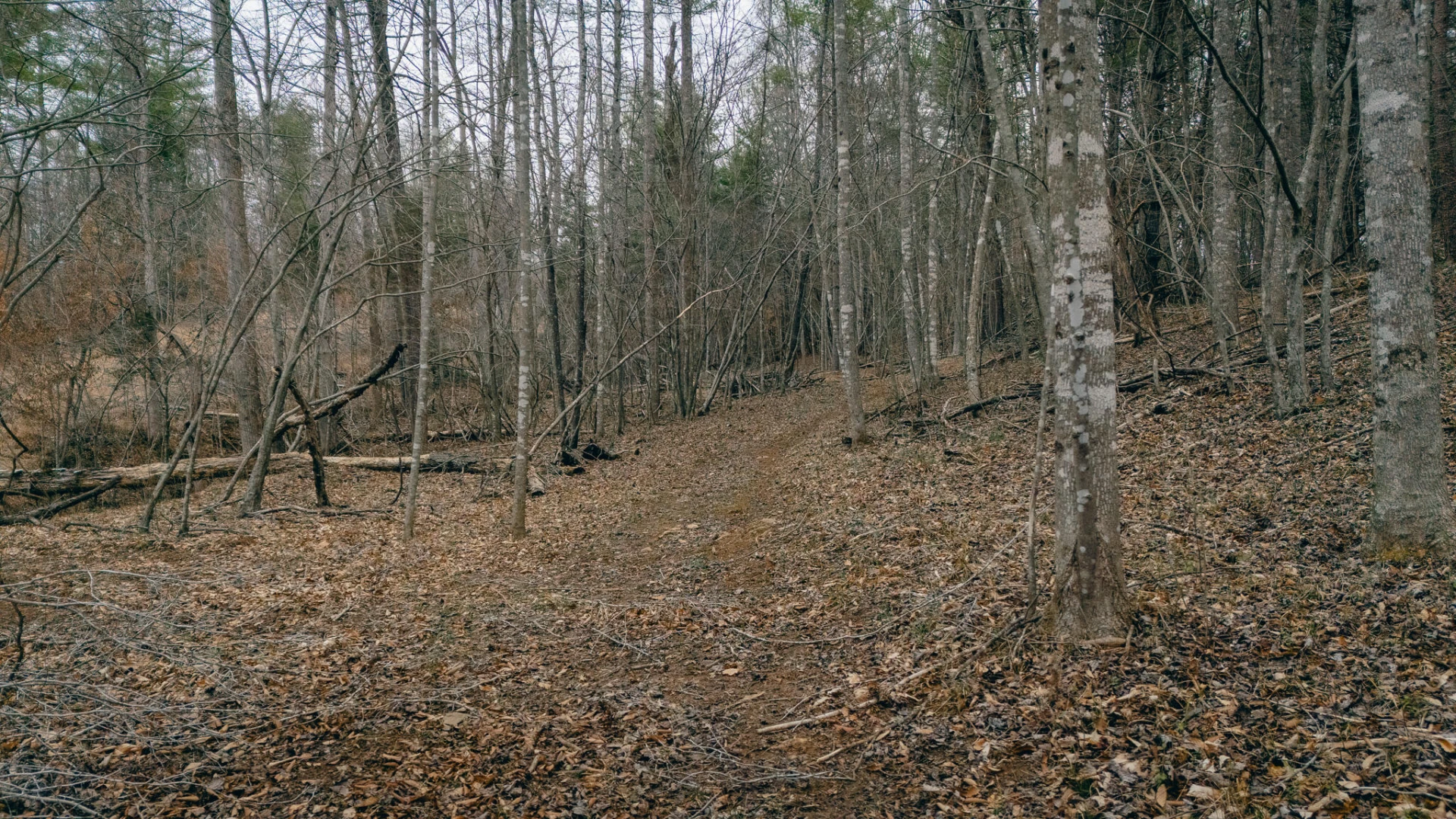 1535 Scuffling Hill RD - Photo 9