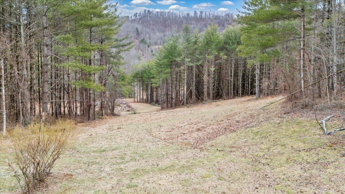 1516 Powder Mill RD - Photo 130