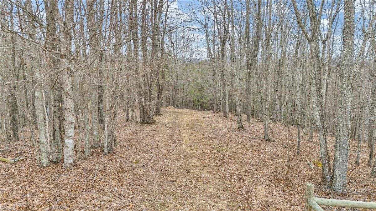 1516 Powder Mill RD - Photo 132