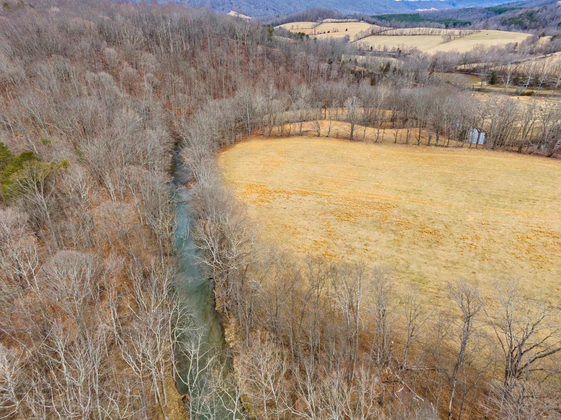 TBD Simmonsville RD - Photo 10