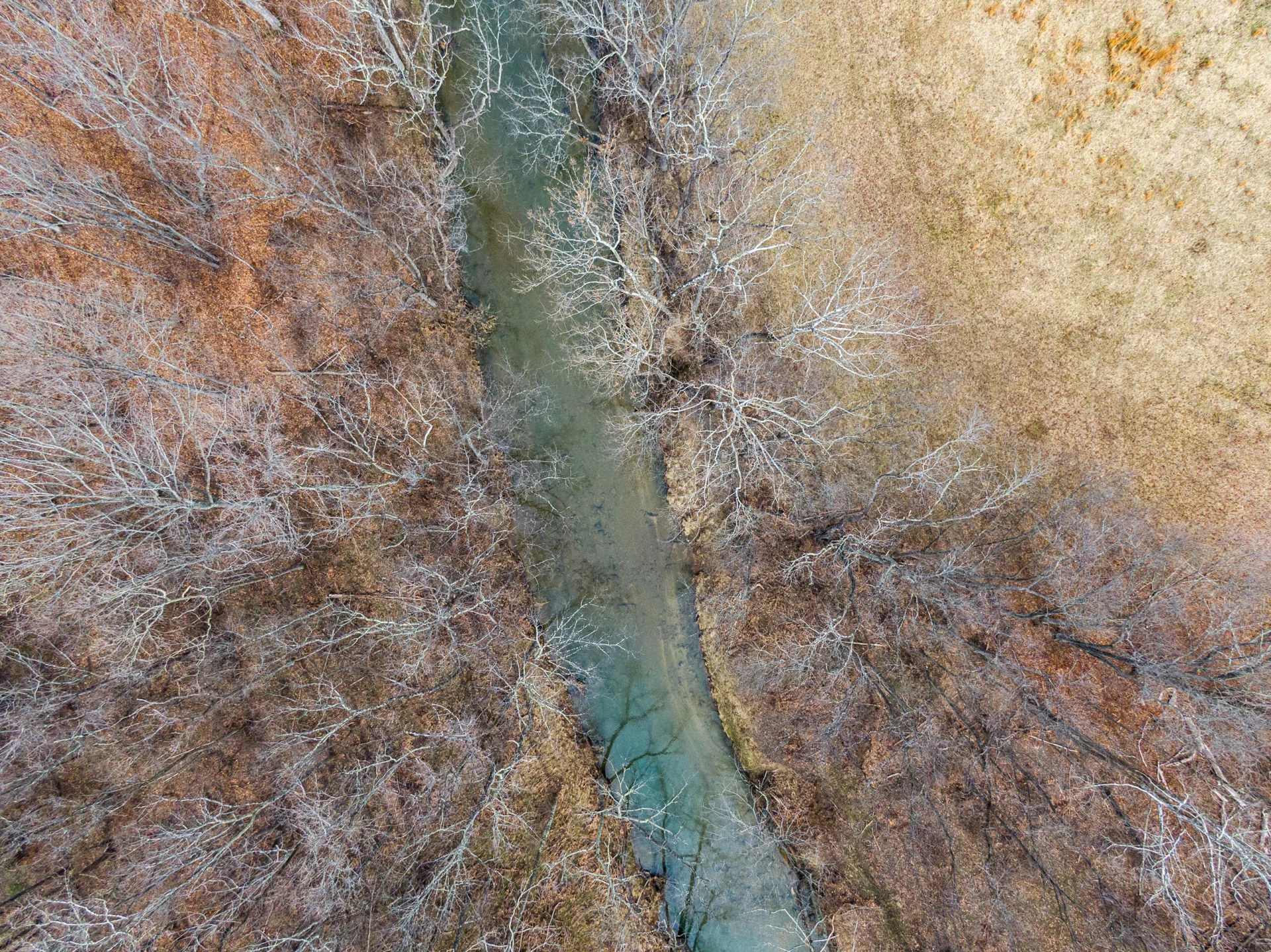 TBD Simmonsville RD - Photo 11