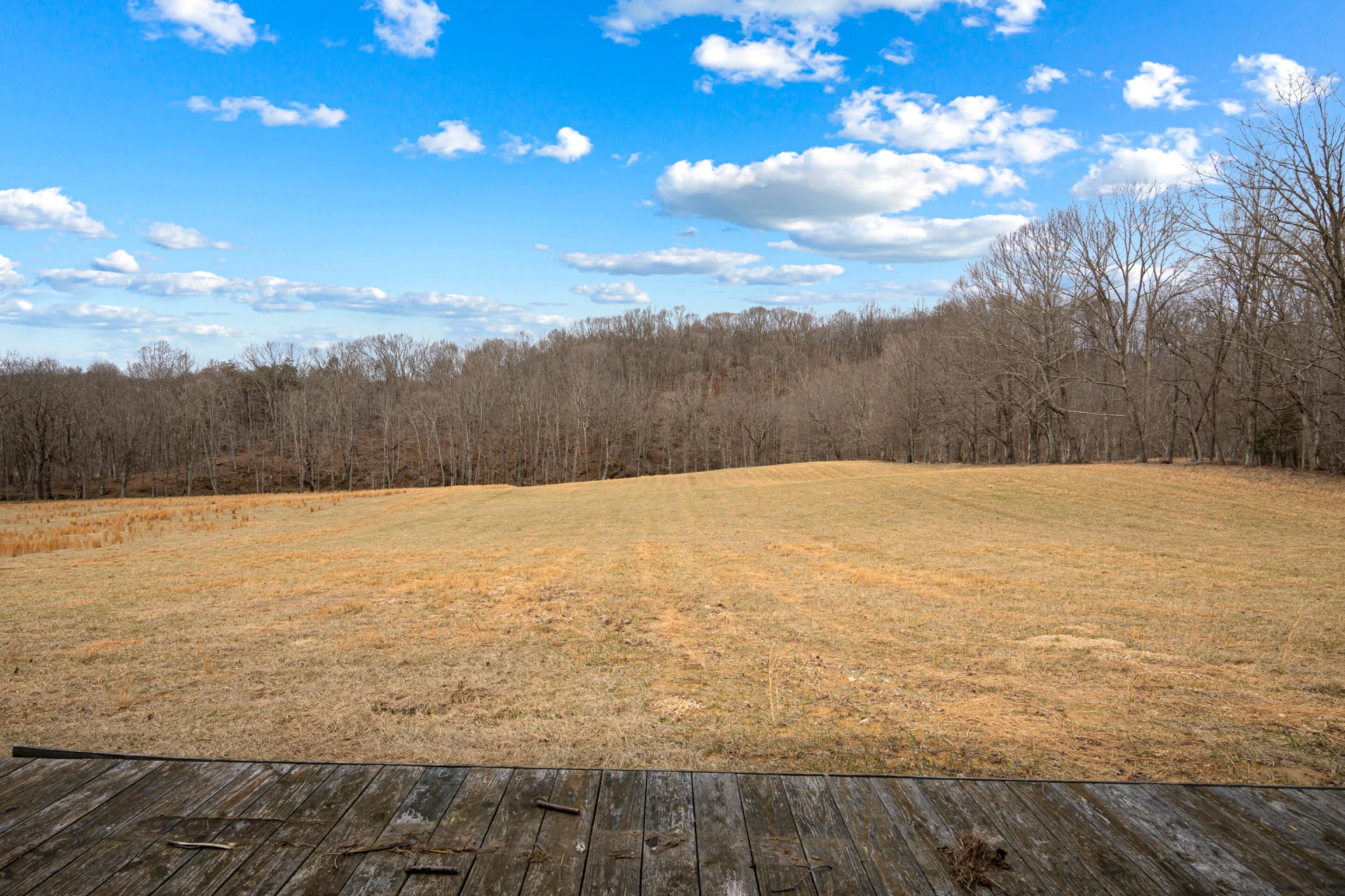 TBD Simmonsville RD - Photo 17