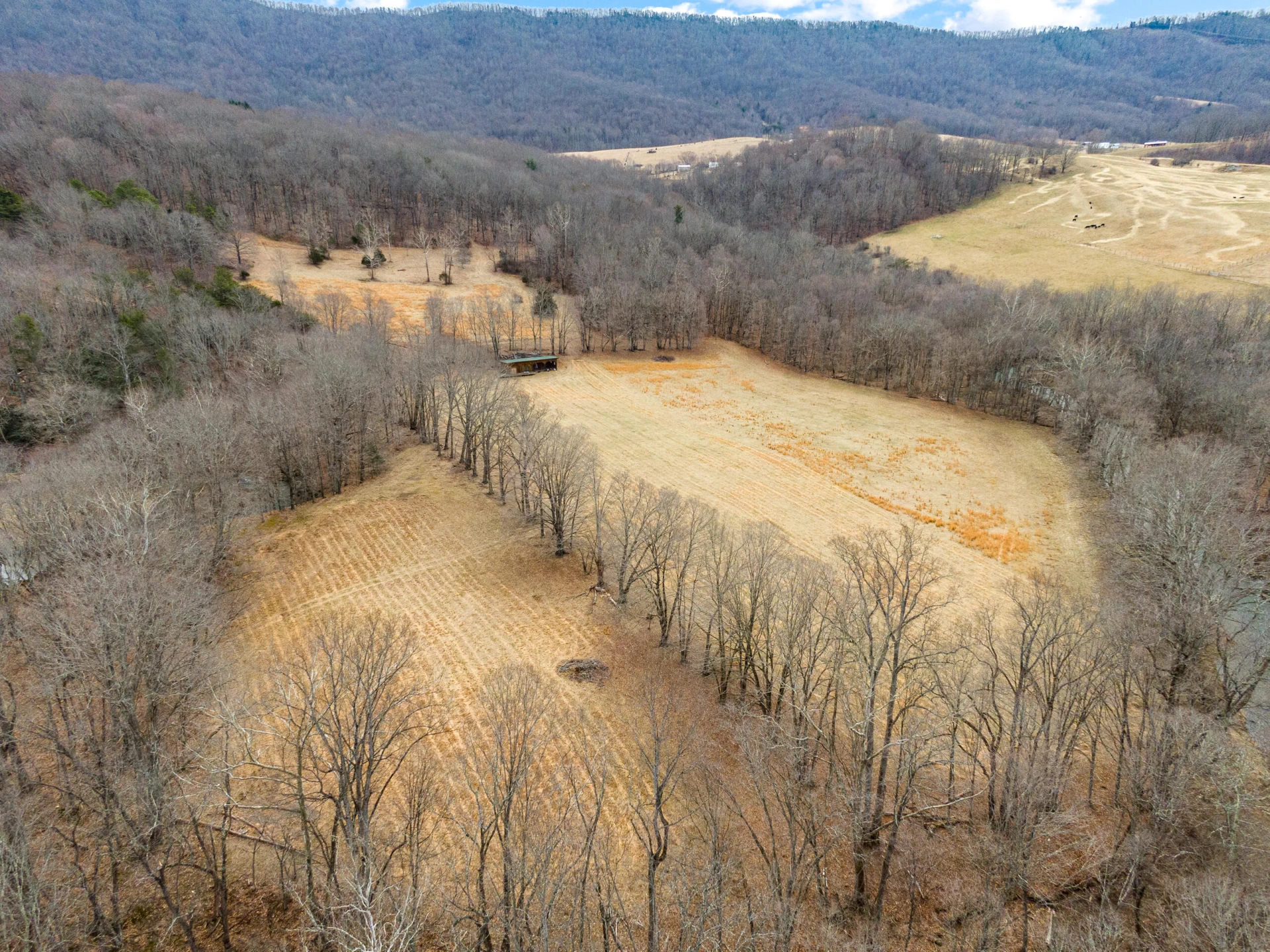 TBD Simmonsville RD - Photo 20