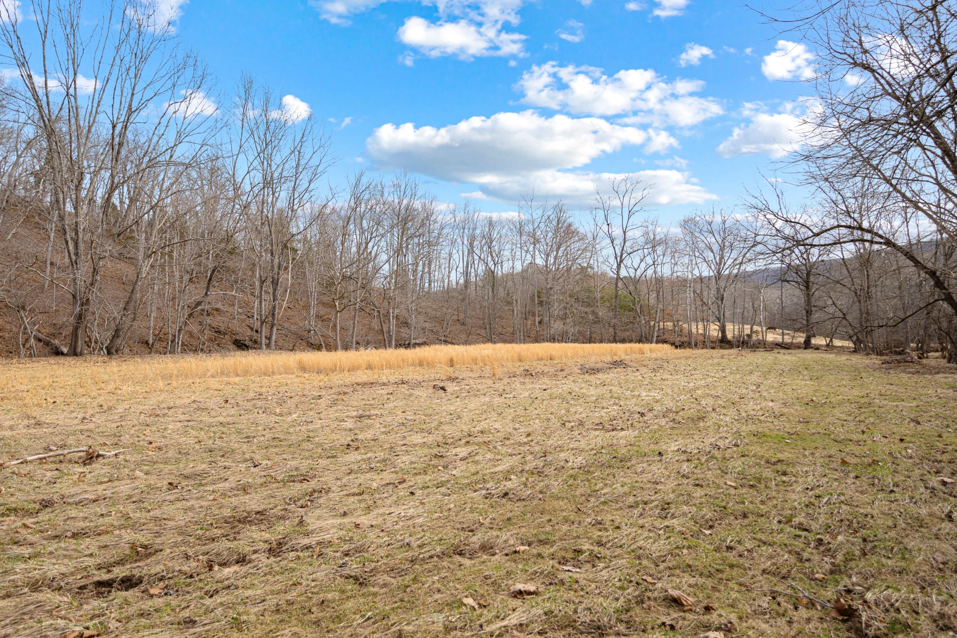 TBD Simmonsville RD - Photo 25