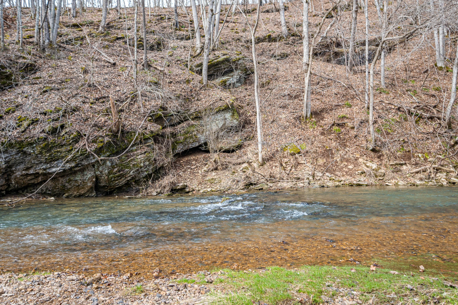 TBD Simmonsville RD - Photo 29