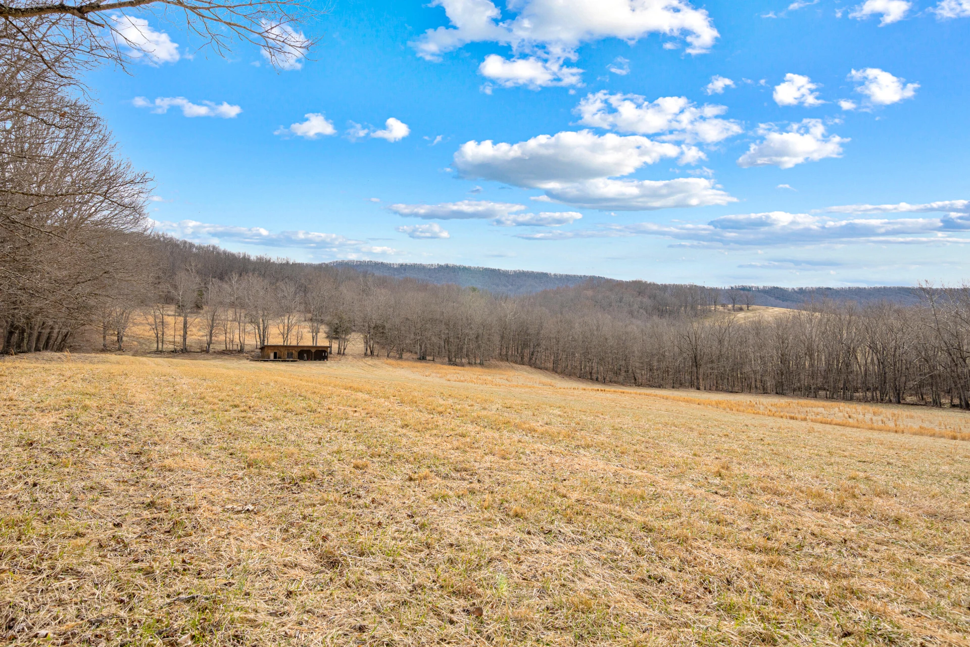 TBD Simmonsville RD - Photo 32