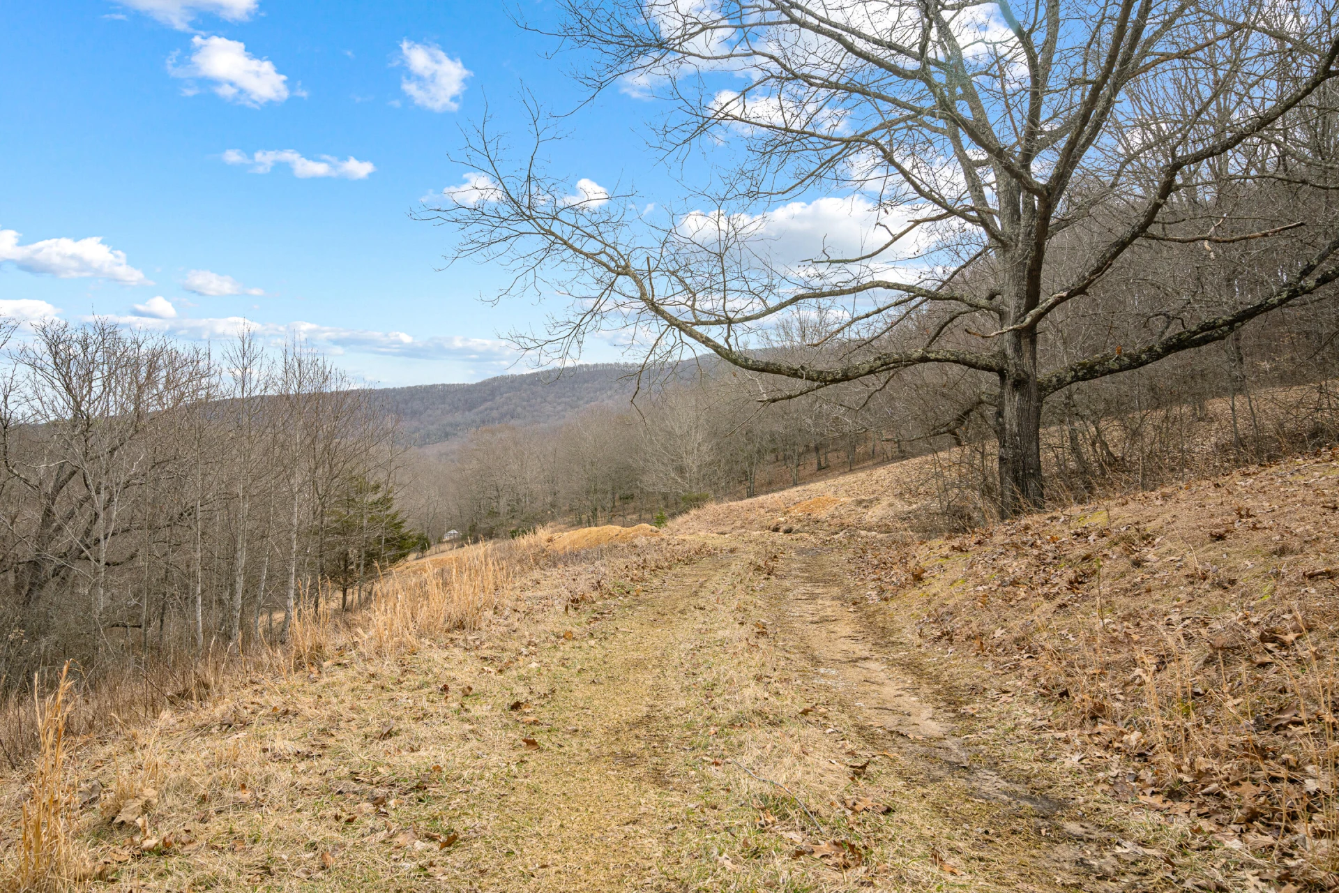 TBD Simmonsville RD - Photo 34