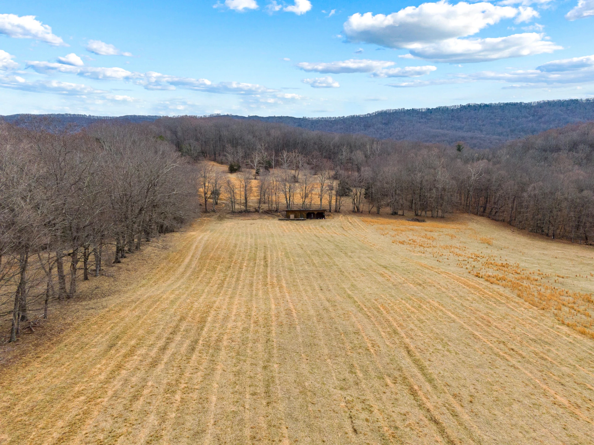 TBD Simmonsville RD - Photo 4
