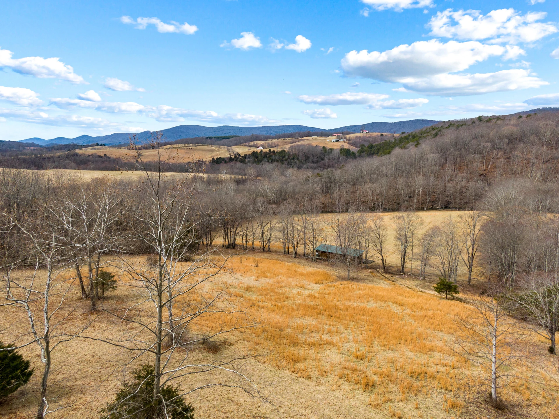 TBD Simmonsville RD - Photo 5