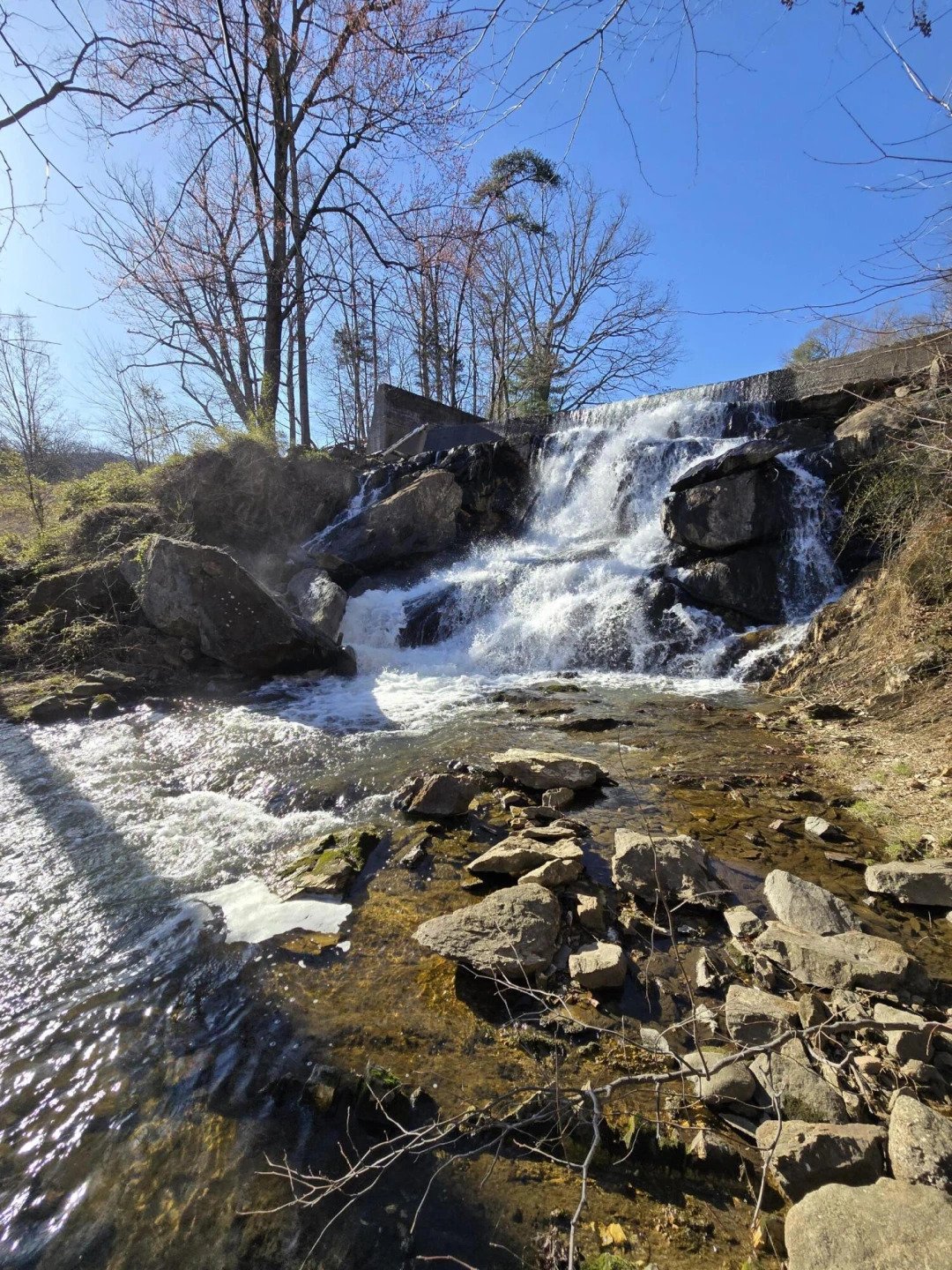 Lot 2 Coltons Mill RD - Photo 10