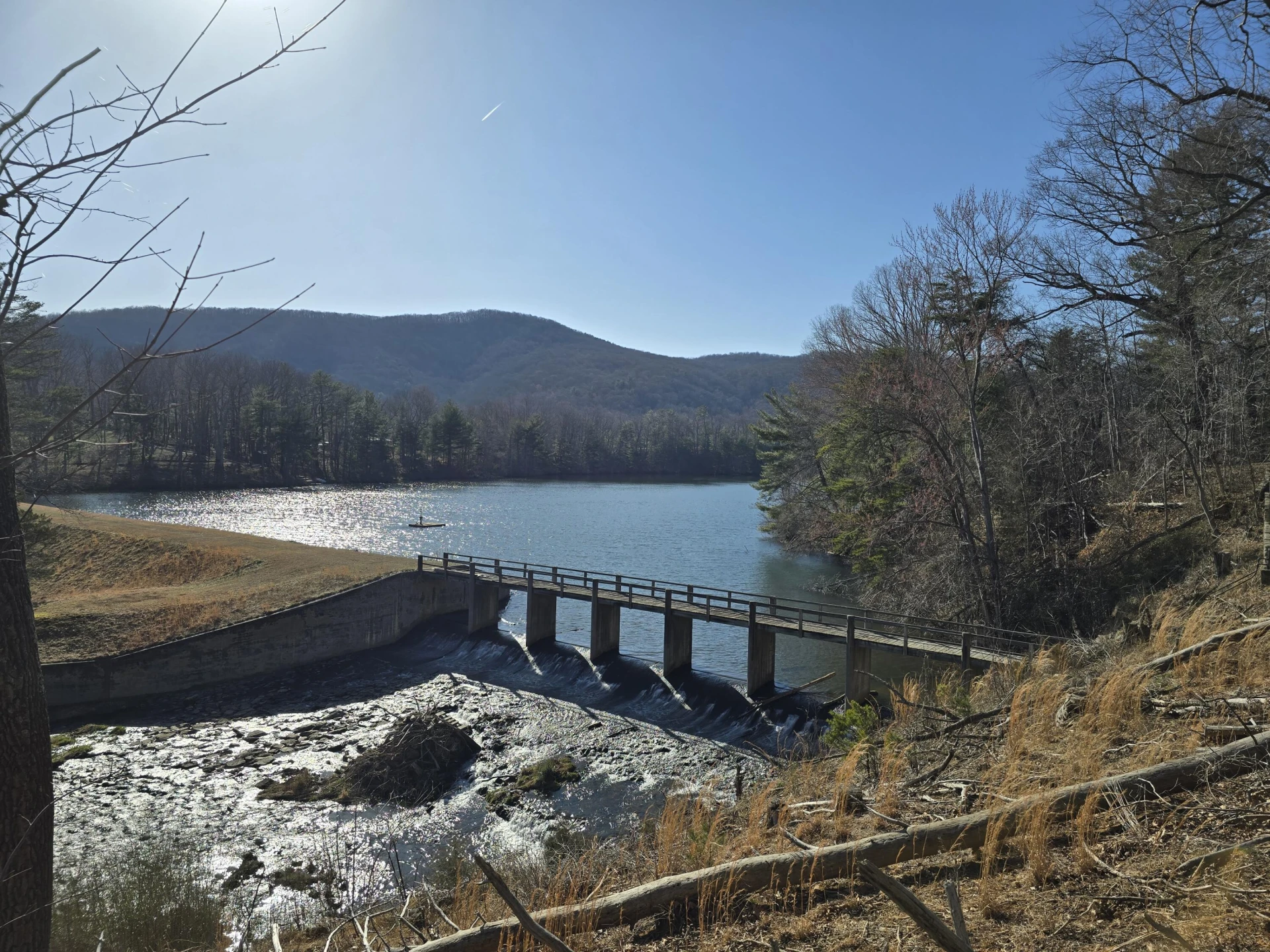 Lot 2 Coltons Mill RD - Photo 11