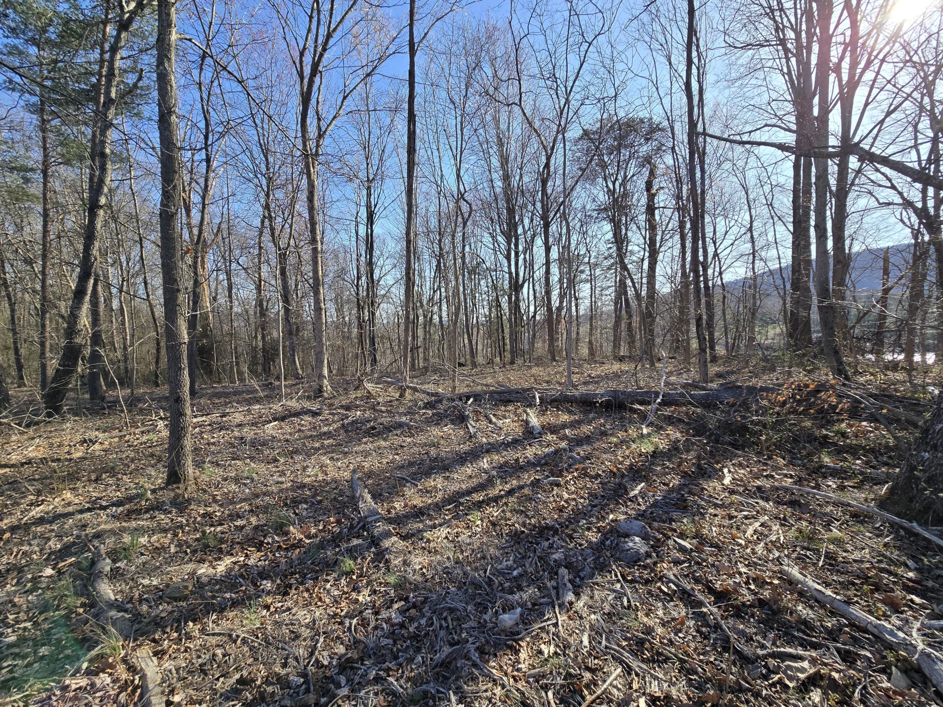 Lot 2 Coltons Mill RD - Photo 2