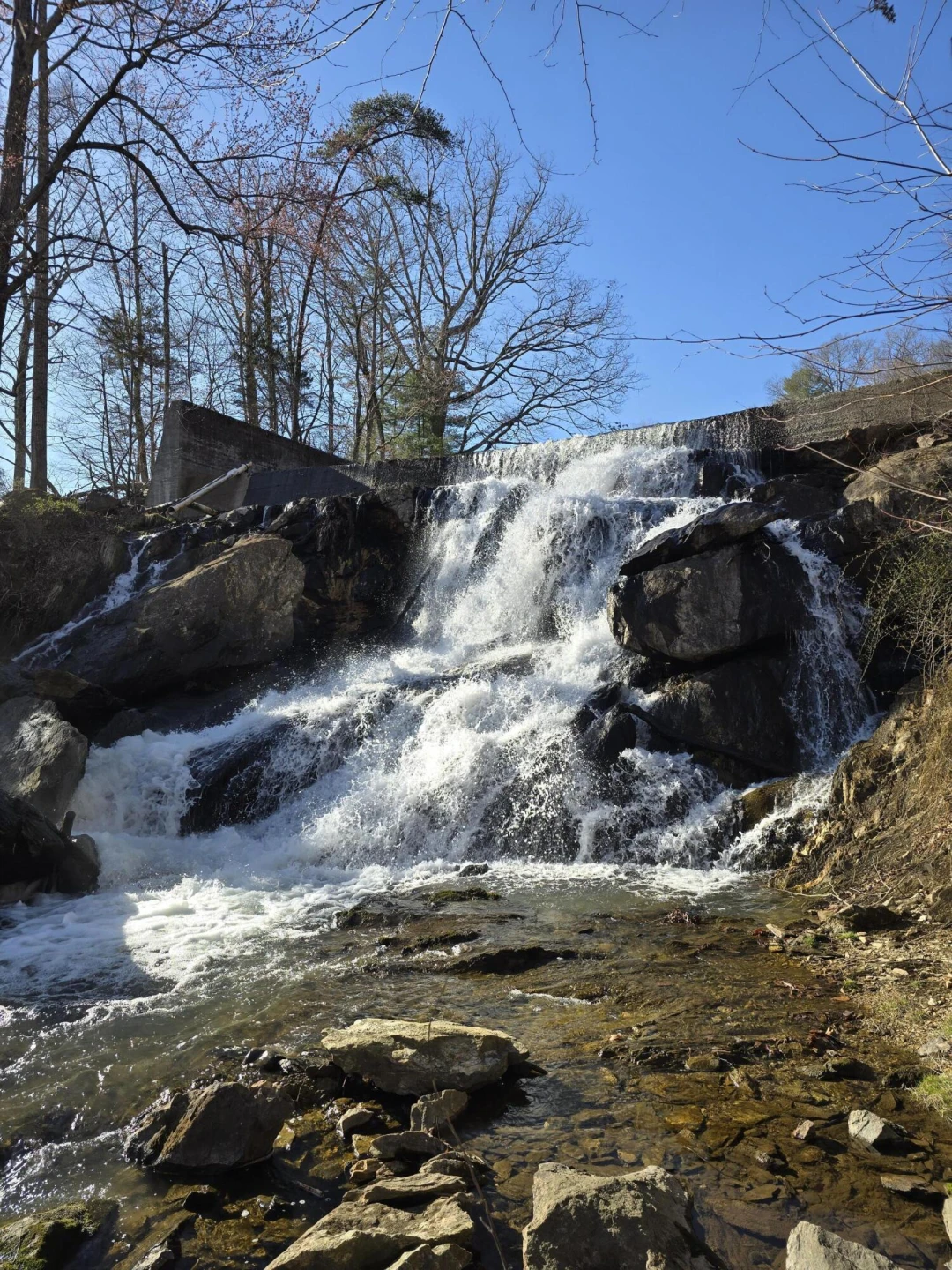 Lot 2 Coltons Mill RD - Photo 4