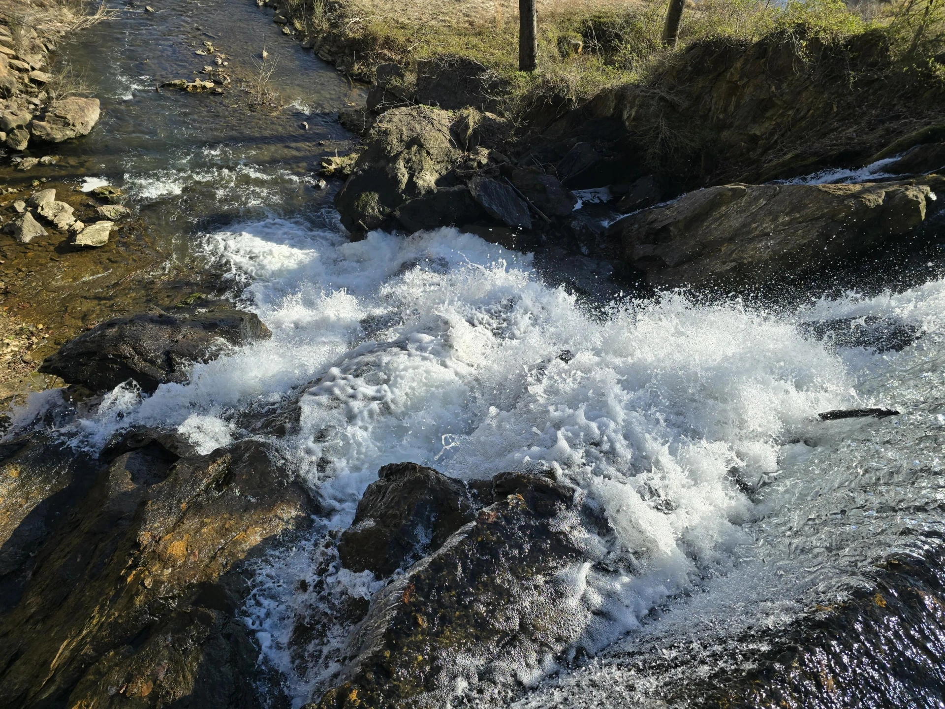 Lot 2 Coltons Mill RD - Photo 7
