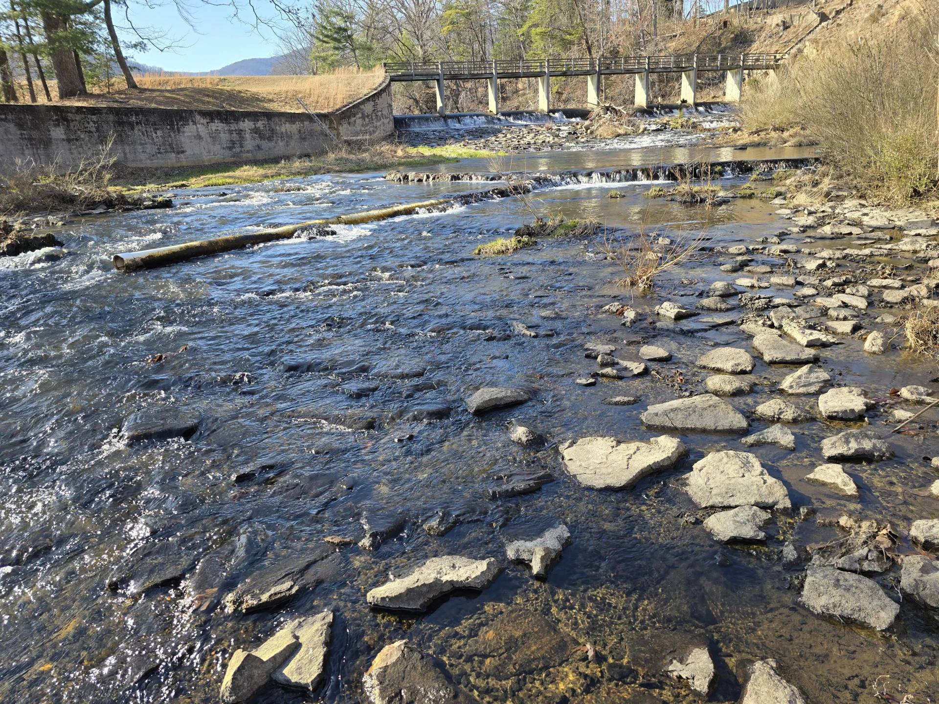 Lot 2 Coltons Mill RD - Photo 8